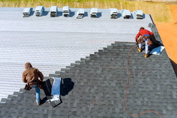 Reliable Tampa, FL Roofing Contractor Solutions