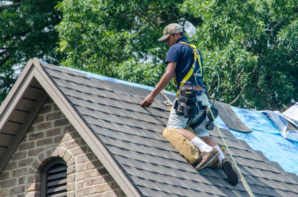 Roof Gutter Cleaning in Tampa, FL